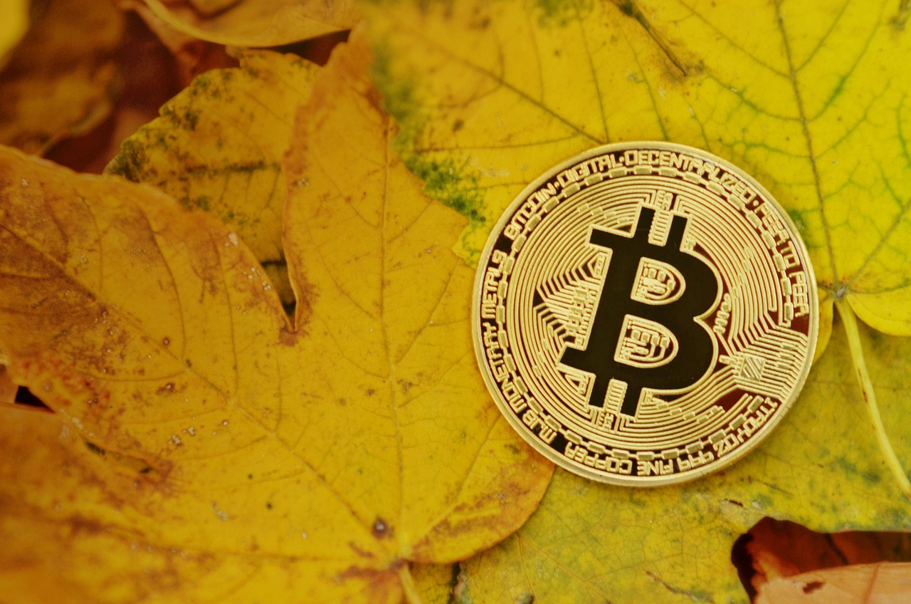 VanEck将推新基金NODE！这档ETF涵盖60档加密货币个股