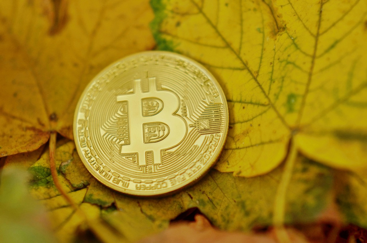 VanEck将推新基金NODE！这档ETF涵盖60档加密货币个股